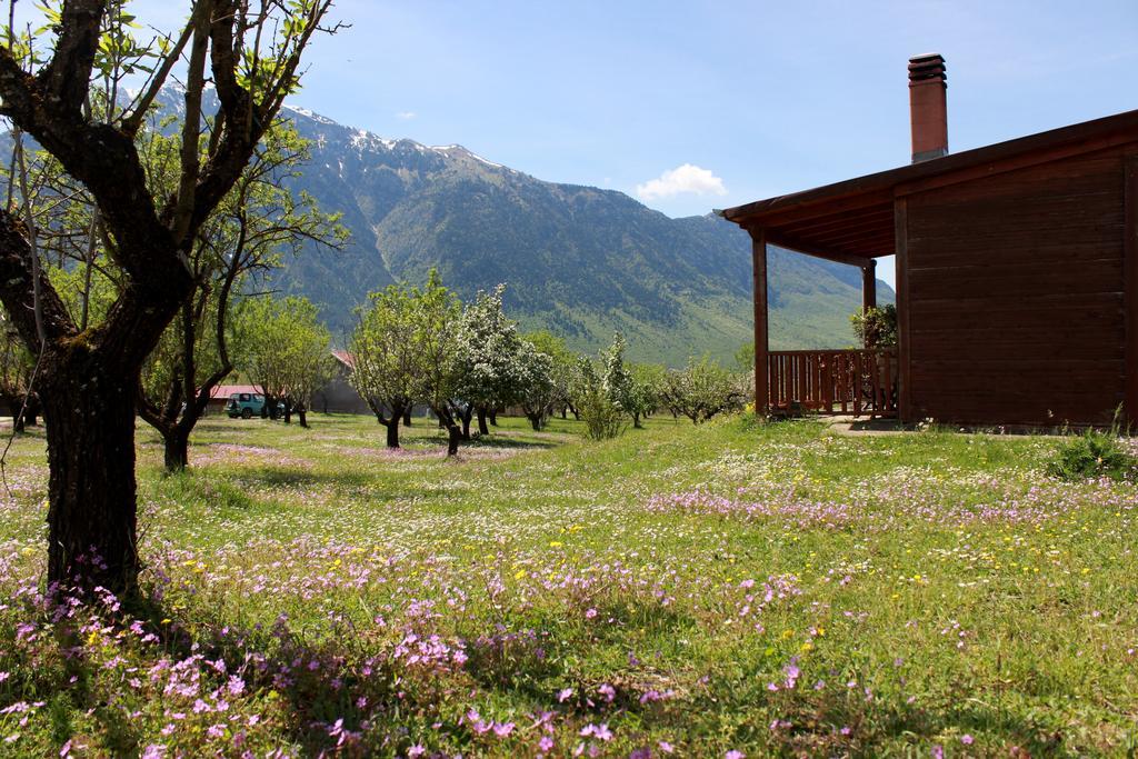 Villa Rustica โคนิทซา ภายนอก รูปภาพ