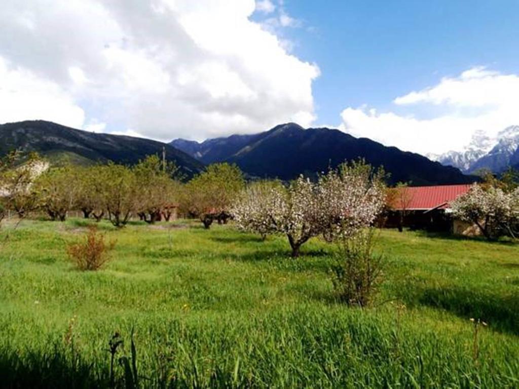 Villa Rustica โคนิทซา ภายนอก รูปภาพ