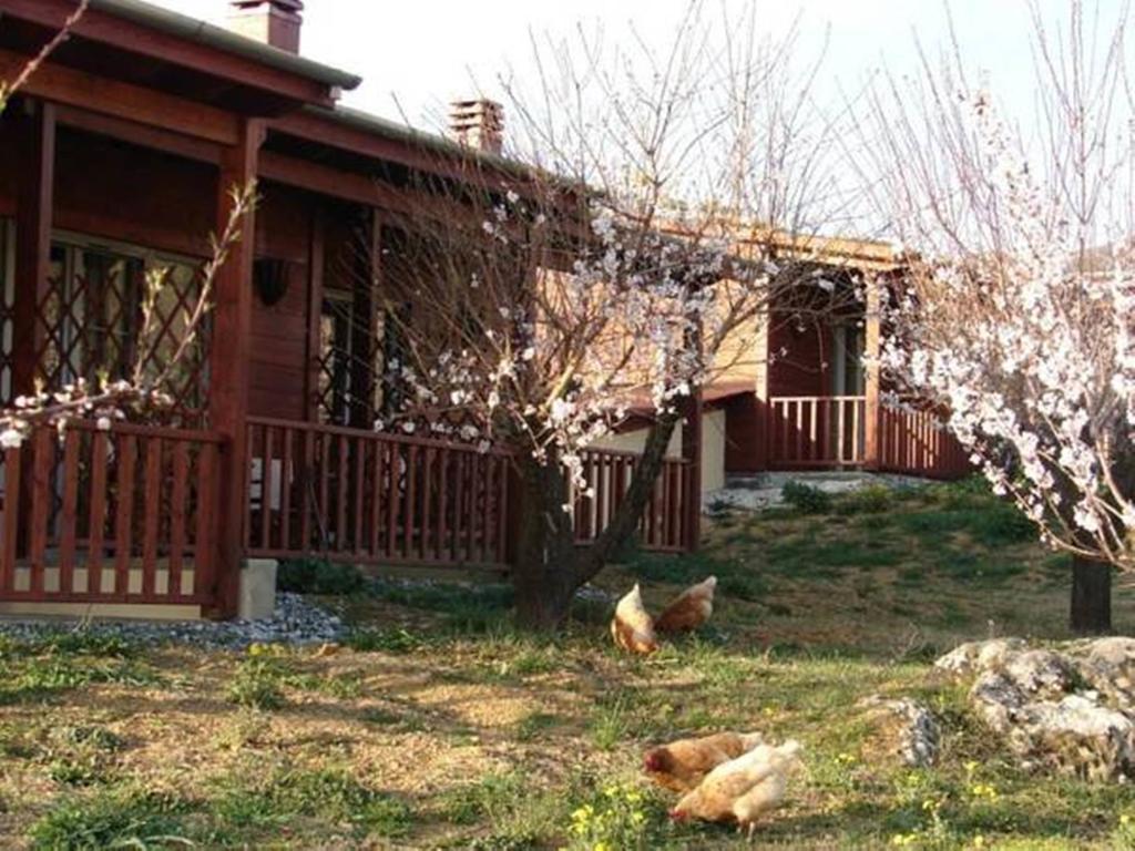 Villa Rustica โคนิทซา ห้อง รูปภาพ